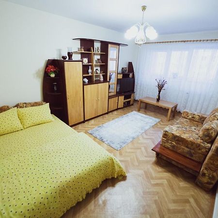 Appartamento Apartament Slanic Prahova Esterno foto