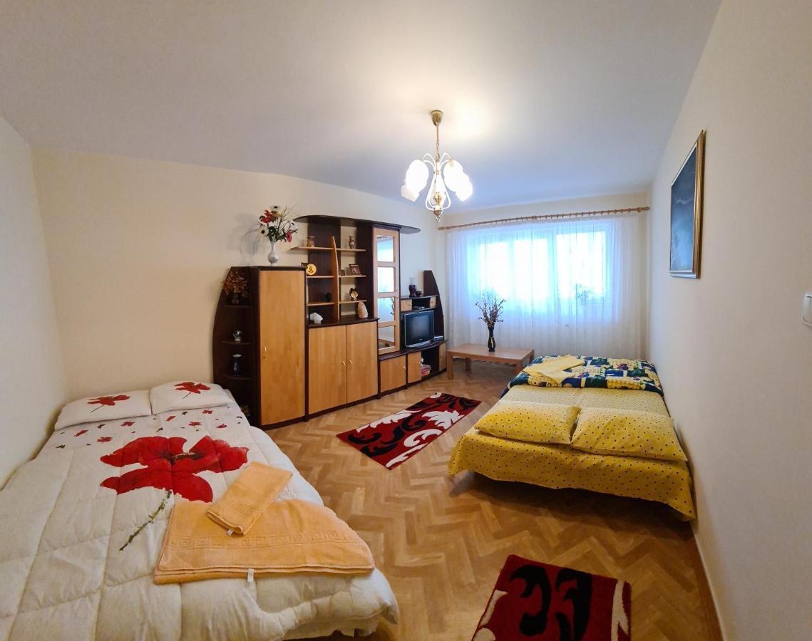 Appartamento Apartament Slanic Prahova Esterno foto